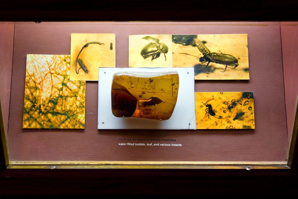 Les arts et la culture, Musée de l'Ambre musée ambre Puerto Plata République Dominicaine Caraïbes Amber museum