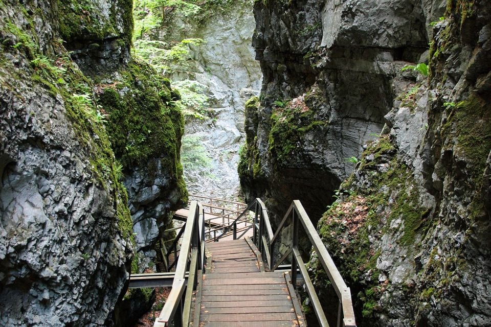 Escursione nel parco nazionale di Risnjak, Il parco nazionale di Risnjak, I paesaggi, Rijeka, Croazia