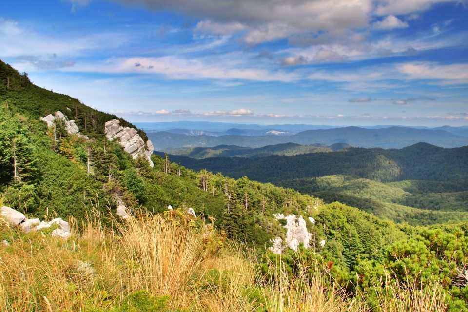 Les paysages, Gorski Kotar, Risnjak, Risnjak national Park, parc national, Croatie, Europe, flore