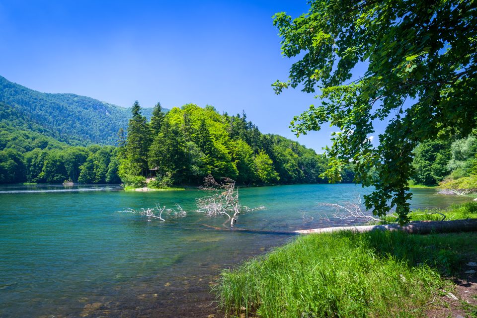 Le lac Biograd, Biogradska Gora National Park, Les paysages, Monténégro