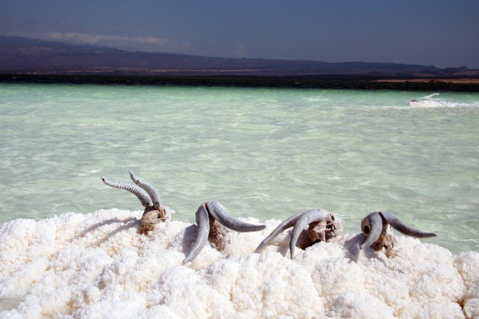 Der Assal-See , Dschibuti