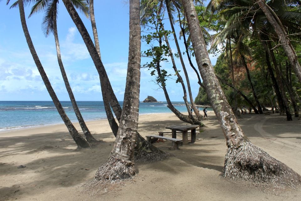 , Las playas, Las costas, Dominica