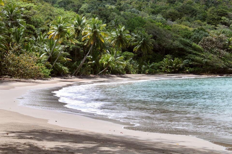, Las playas, Las costas, Dominica
