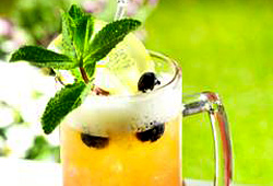Der Cocktail Blueberry Summer Crush