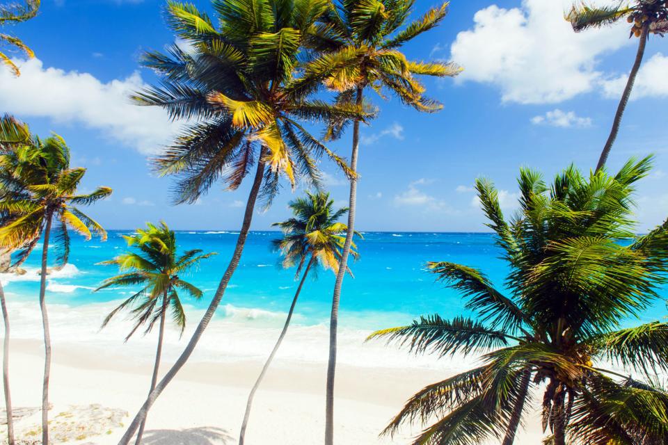 In just one click, discover a hotel in Barbados and make your trip memorabl...