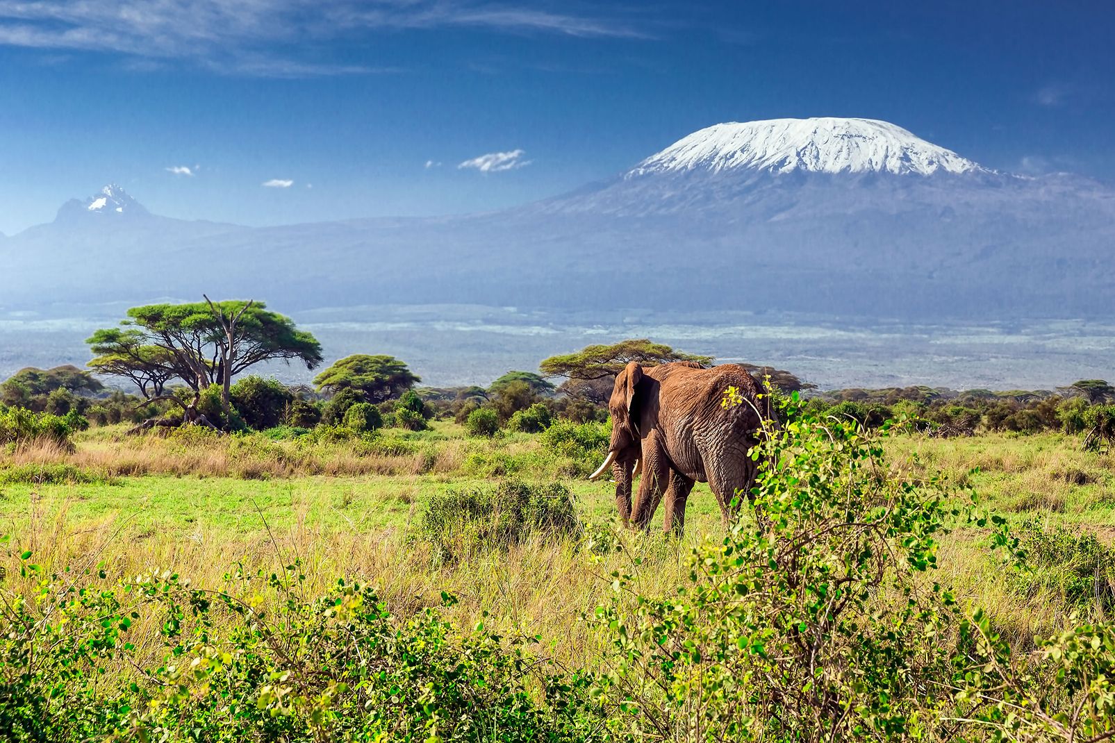 voyage safari kenya