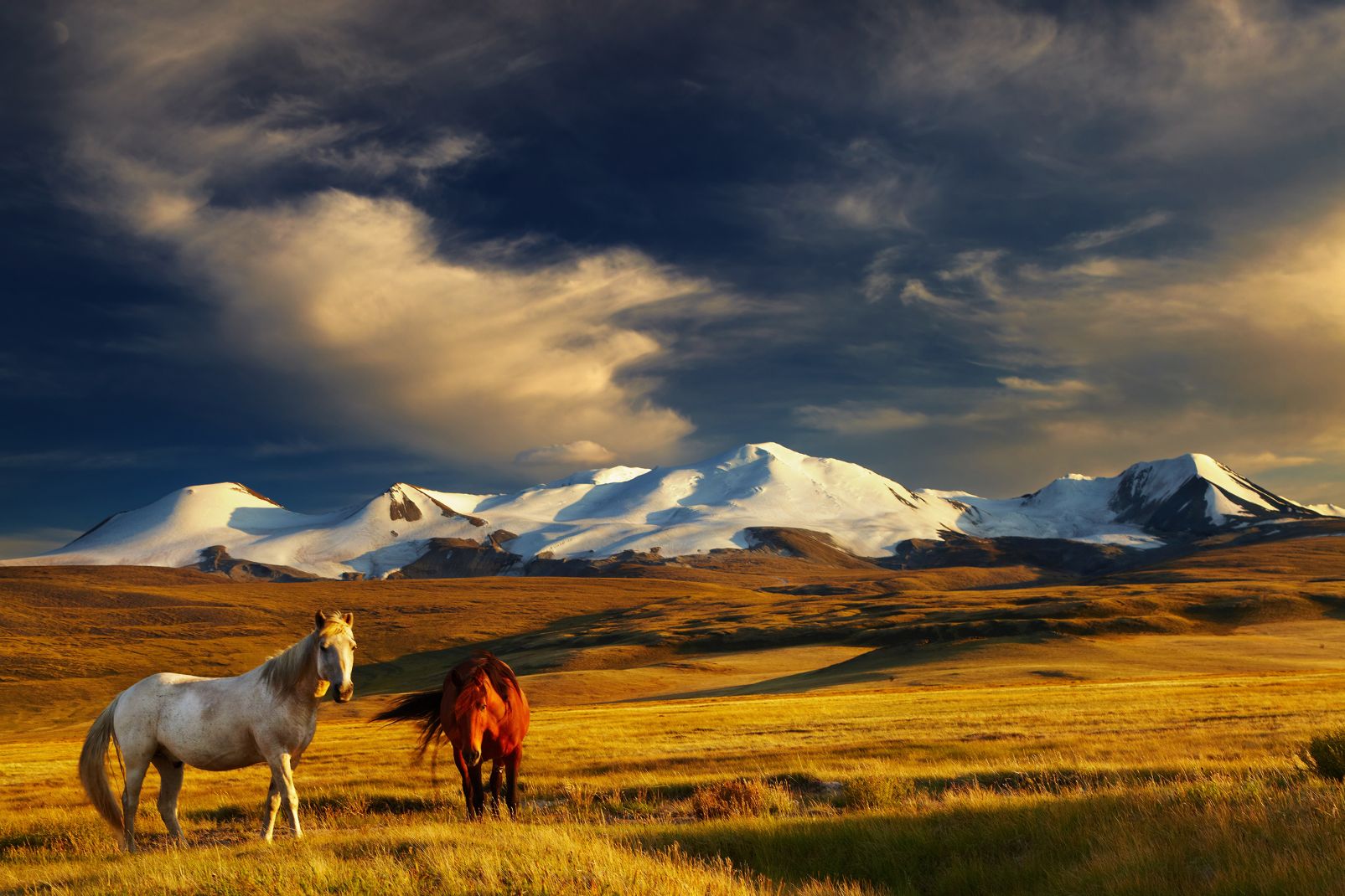 mongolia tourism package