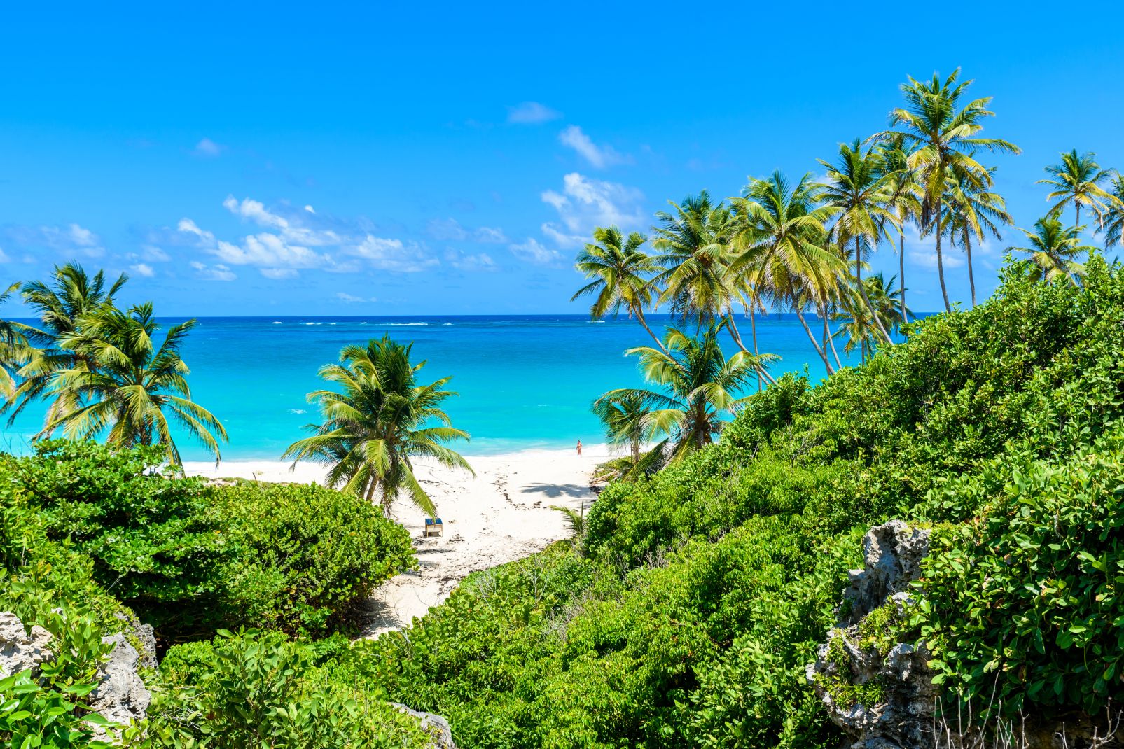 Viajes A Barbados Guía De Viajes Barbados