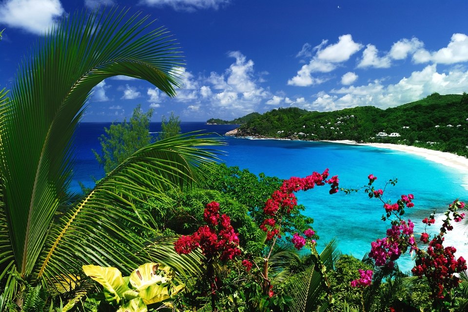 Seychelles, Océan indien, afrique, archipel, île