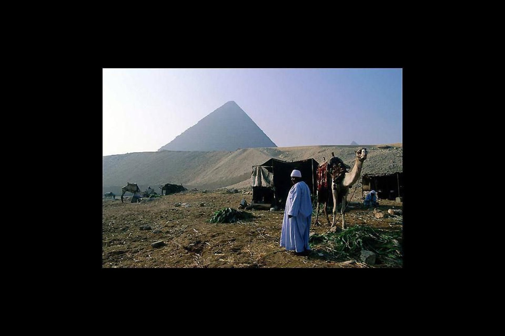Les pyramides de Gizeh se dressent à trois-quart d'heure de route de la capitale de l'Egypte.