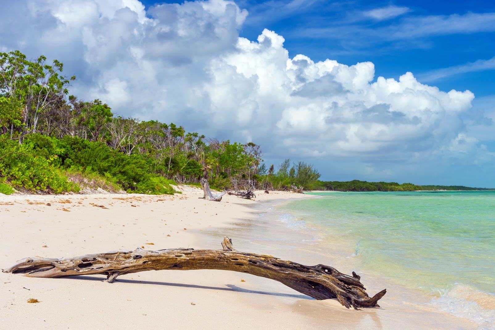 Au large de la côte nord de Cuba, c'est un bout du monde vert et blanc posé dans les eaux turquoise de l'Atlantique. Des kilomètres de sable, une forêt dense, de la mangrove et pour seuls habitants des flamants roses à la pelle, l'archipel de Camaguey est un Varadero sauvage, un repaire de Robinson Crusoé. Les hôtels sont situés principalement sur l'île principale de Cayo Coco, reliée au continent ...