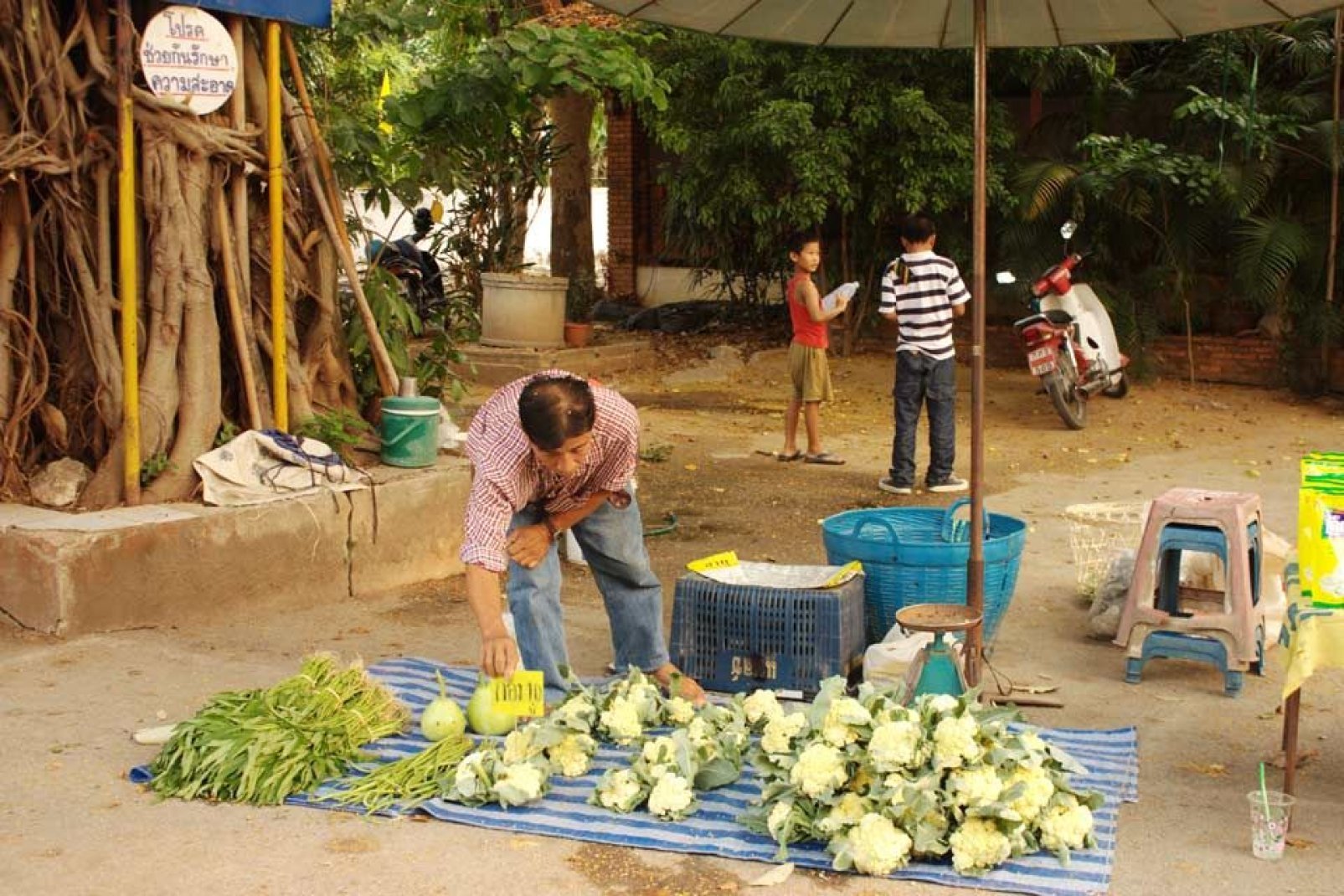 Questo mercato alimentare è organizzato al pomeriggio vicino al tempio birmano.