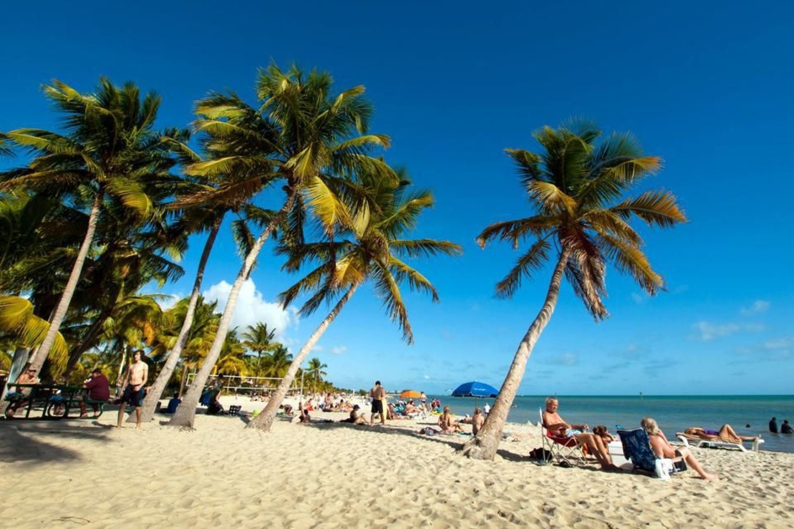 Key West è il nome della città e dell'isola situate nel punto continentale più a sud degli Stati Uniti, facile da raggiungere in barca.