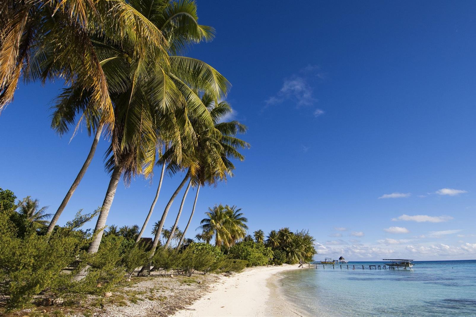 Atollo riconosciuto come riserva della biosfera dall'Unesco dal 2006, Fakarava sorprende i viaggiatori per l'immensa laguna. È talmente vasta che sembra congiungersi con l'oceano all'orizzonte. Il colore, turchese vicino alla riva, blu intenso al largo, è dovuto alla profondità: fino a 50 m al centro (che corrispondono alla base dell'antico cratere immerso). La cinta corallina di Fakarava si estende ...