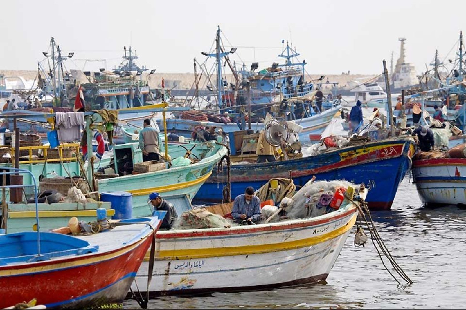 L'animation qui s'empare du marché aux poissons chaque matin, fait encore bien partie de la vie d'Alexandrie.