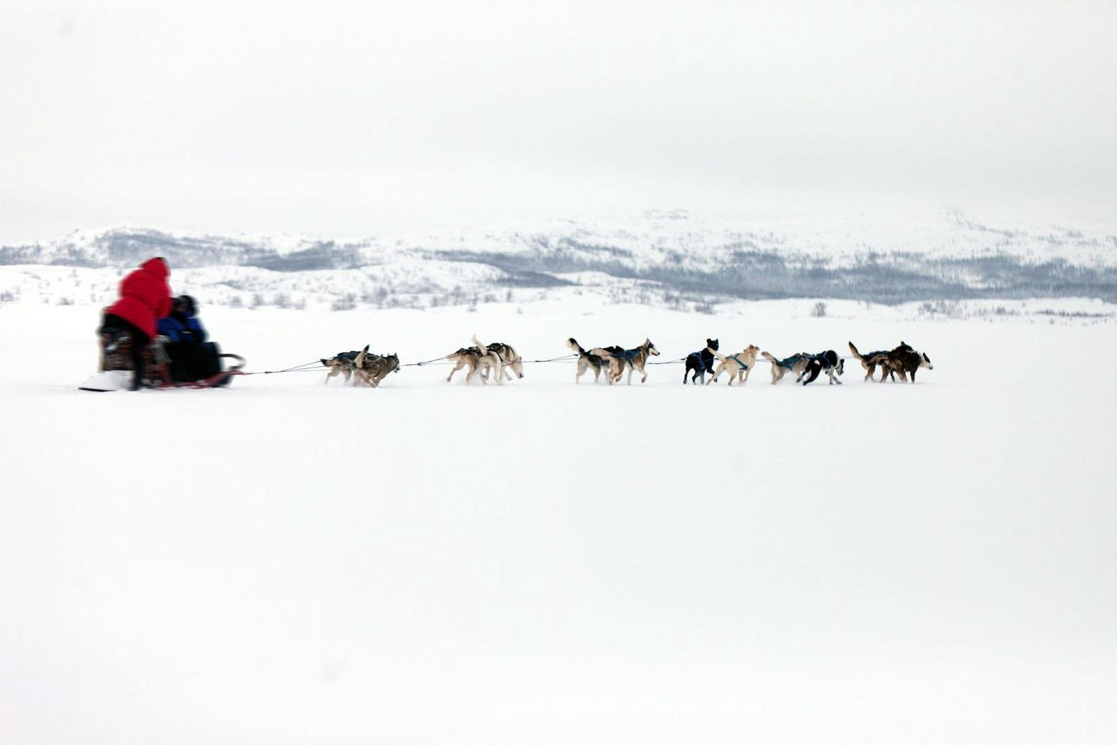Terre du Père Noël, la Laponie finlandaise est un endroit où les rennes sont plus nombreux que les humains, où la nature intacte recouvre des milliers de kilomètres, et où le climat glacial sépare les touristes robustes des moins courageux. Ici, il y a des montagnes, des forêts et de lacs : tout pour mettre les amoureux de la nature à l'aise ! C'est un endroit où vous pouvez essayer toutes sortes de ...