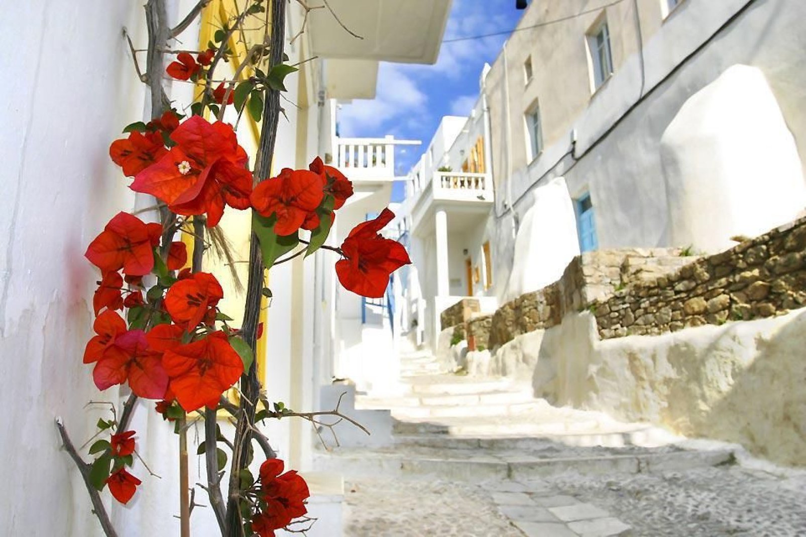 Mykonos can be discovered along its narrow pedestrian streets.