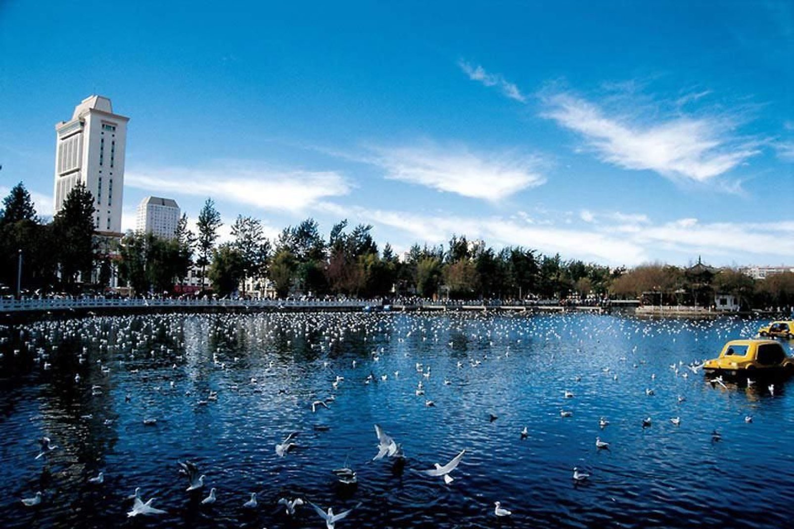 Dieser See liegt inmitten eines Parks im Stadtzentrum. Hier leben zahlreiche Zugvogelarten.