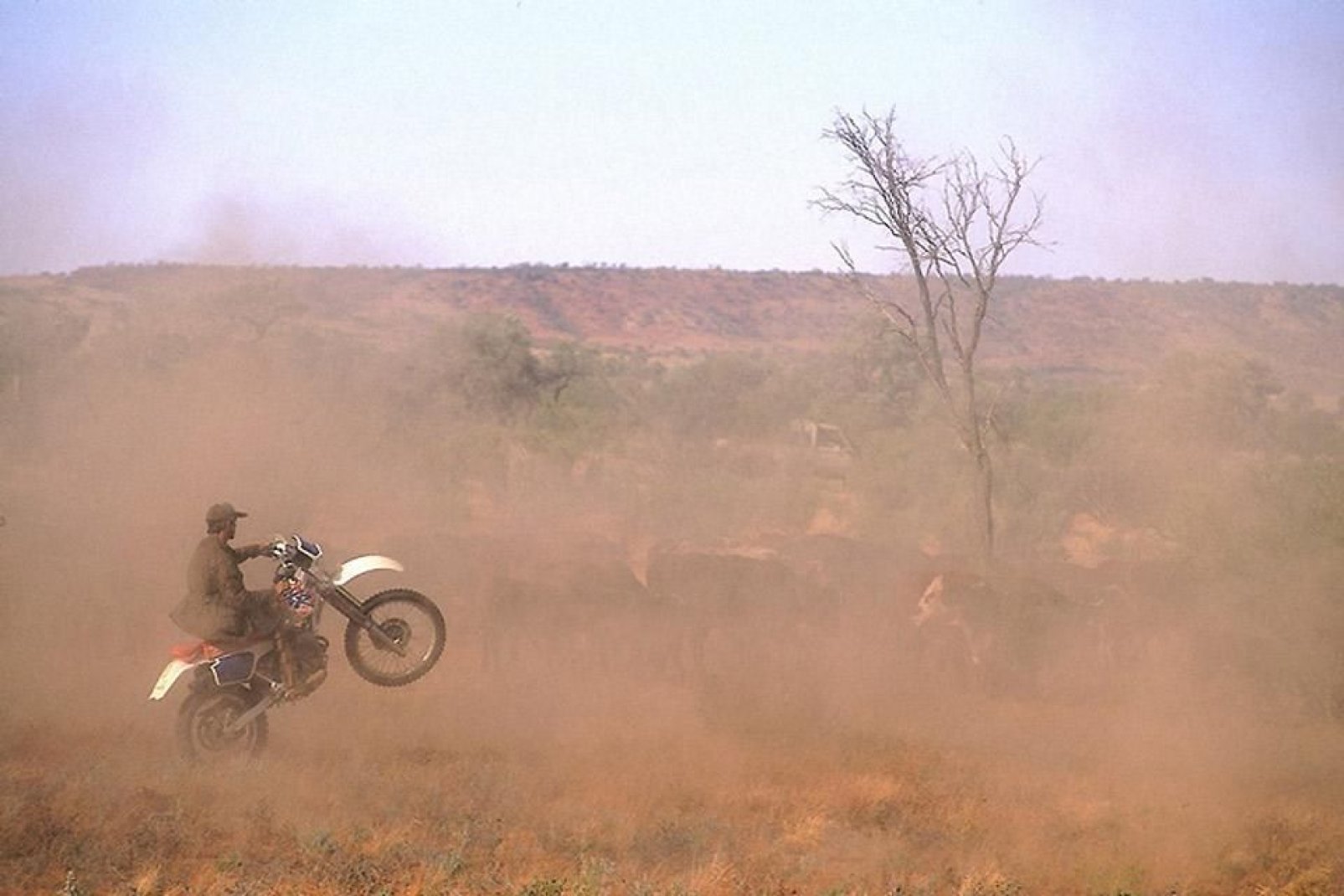 Alice Springs entstand anlässlich der Entdeckung eines Goldvorkommens in Artlunga, ungefähr 100 km von der Stadt entfernt.