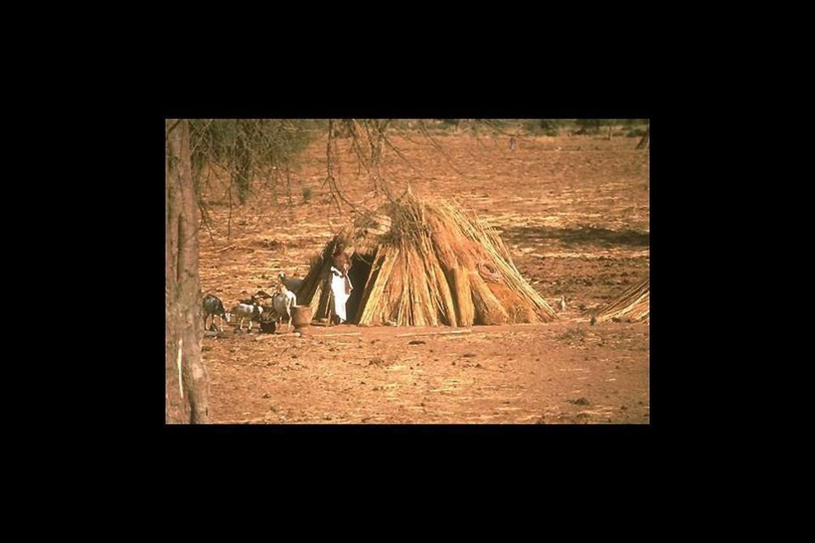 A traditional dwelling in this region of southwest Mali.