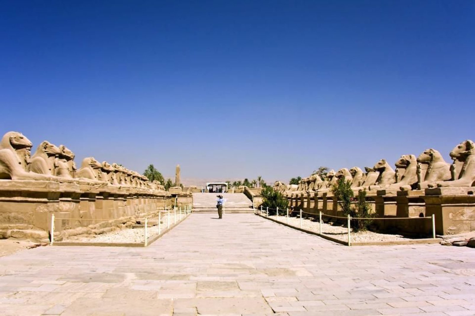 le temple d'Amon est un temple égyptien situé dans l'ancienne Thèbes.