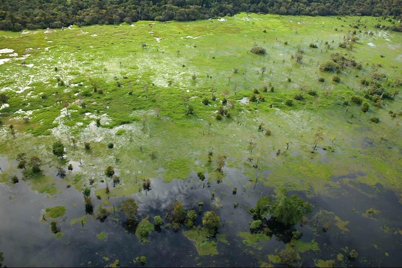 Manaus apparaît petite, au cœur de cet océan végétal.