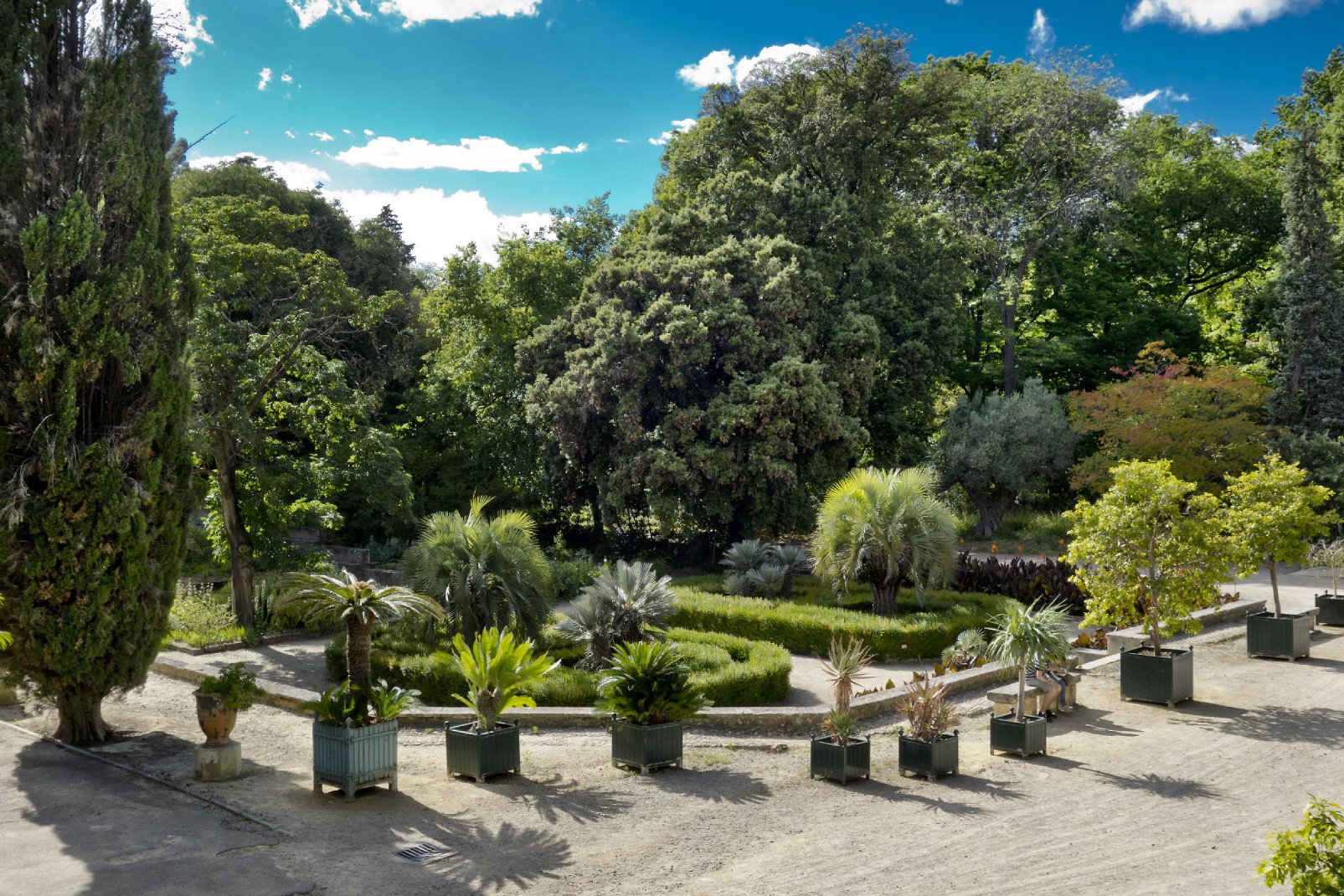 Le jardin botanique est un havre de tranquillité à Montpellier, un endroit où flâner seul, en amoureux ou entre amis.