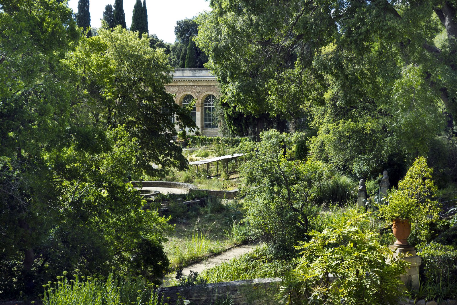 Le Jardin des Plantes a été créé au XVIème siècle par un jeune médecin, Pierre Richer de Belleval. Il est aujourd'hui géré par la Faculté de Médecine de la ville. 