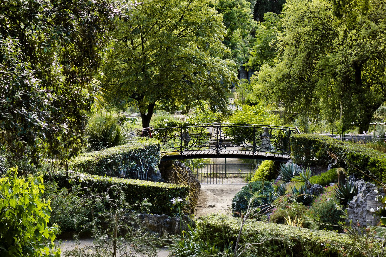 Avec ses allées fleuries, ses espaces ombragés, ses bancs et ses petits ponts, le Jardin des Plantes de Montpellier jouit d'un accès gratuit.