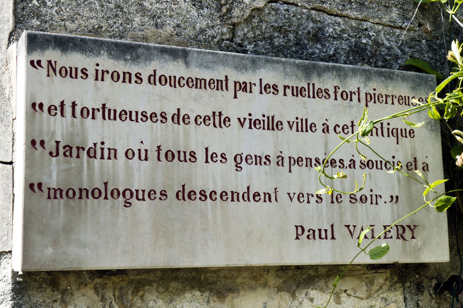 Gravée sur une pierre du Jardin des Plantes, cette citation extraite d'une oeuvre de l'écrivain Paul Valéry décrit si bien l'esprit de Montpellier et son jardin botanique.