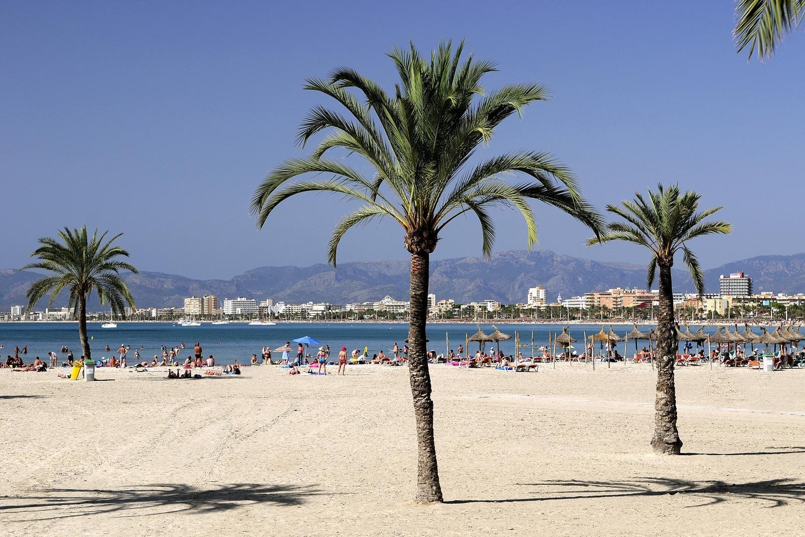 Dire que la baie de Palma est le point le plus touristique de l'île est un euphémisme : elle accueille à elle seule 8 des 10 millions de vacanciers qui débarquent chaque année à Majorque. A l'est de la ville, la baie est une longue succession de stations balnéaires s'étalant sur plus de 7 km de Can Pastilla à El Arenal en passa	nt par Playa de Palma. ...