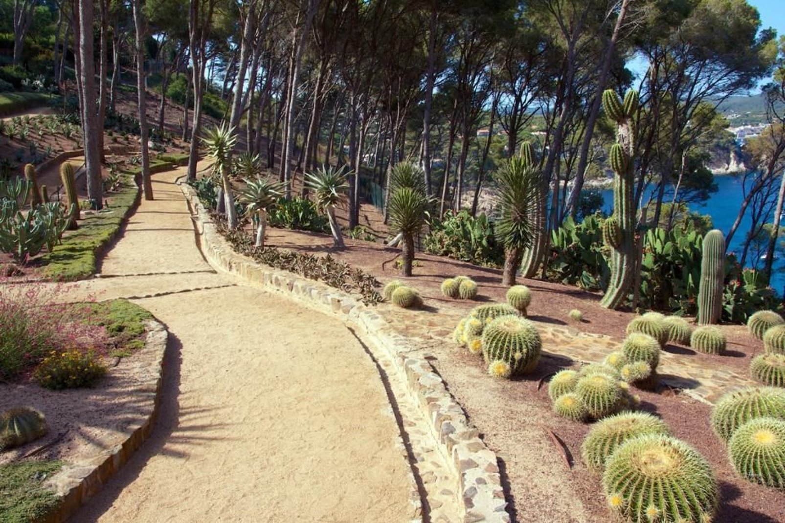 Le Jardin Botanique de Lloret del Mar comporte une belle section, en bord de mer, réservée aux cactus.