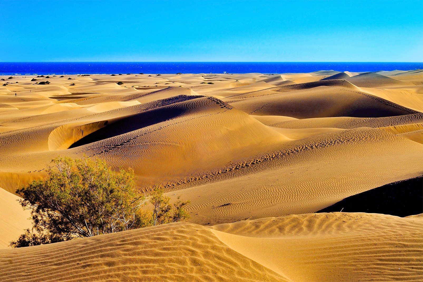 Im Westen von Playa del Ingles, dem bekanntesten Badeort der Insel, erstrecken sich über mehrere Kilometer die Sanddünenen von Maspalomas inmitten eines Landschaftsbildes, das dem Film 