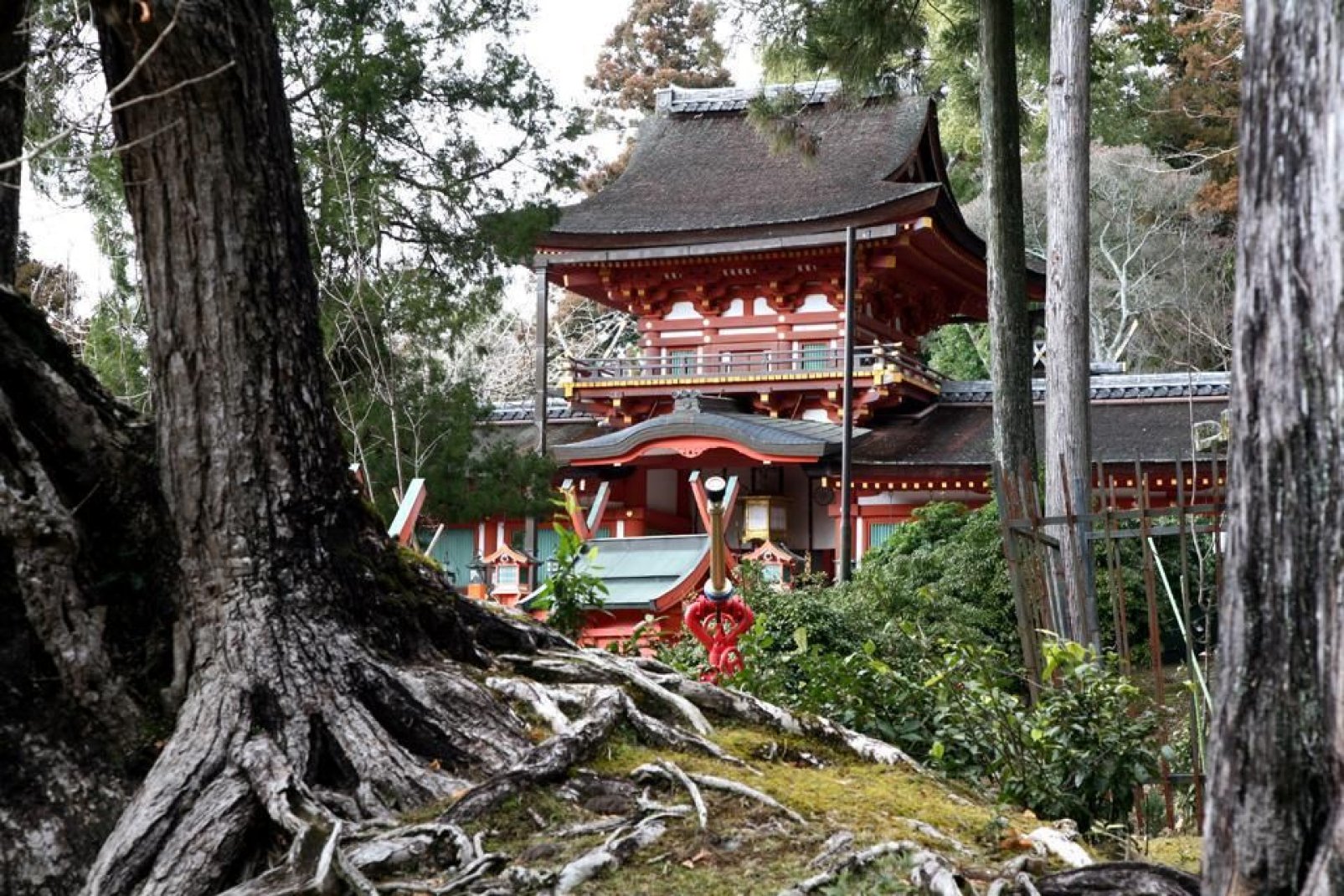 Avant Tokyo et Kyoto, Nara fut la première capitale du pays au VIIIe siècle.