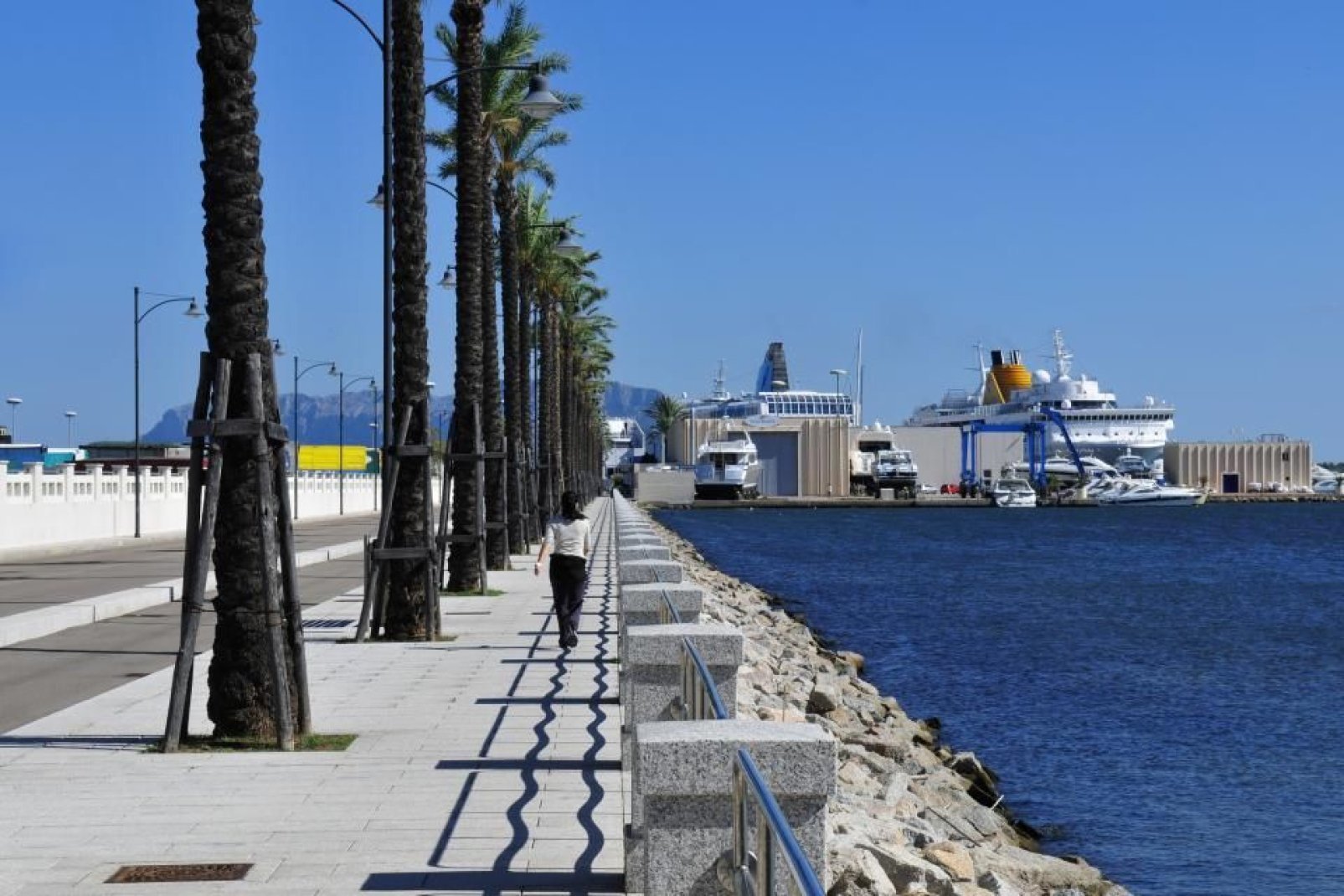 Un recente e lungo viale costeggiato da palme conduce dal vecchio porto al terminal dei traghetti di Olbia.