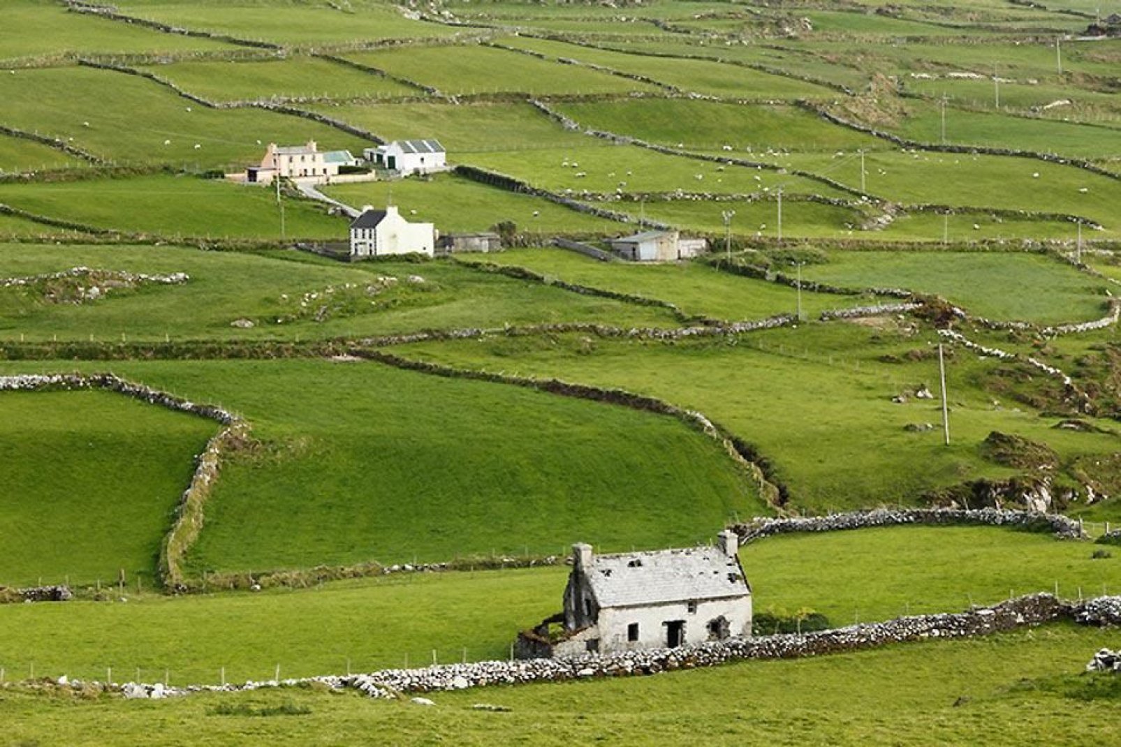 Das Landschaft der Grafschaft Cork ist typisch irisch.