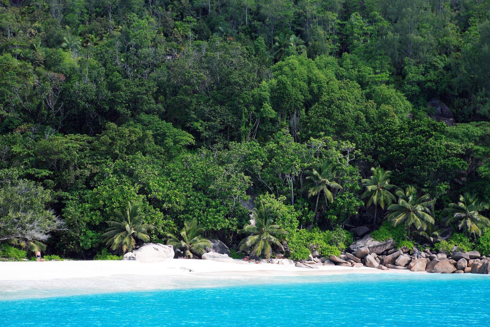 Die Insel Silhouette gilt aufgrund ihrer Größe als drittwichtigste Insel der Seychellen. Gut 93% der Gesamtfläche der Insel wurde zum Naturschutzpark (Silhouette National Park) ernannt. Des Weiteren umfasst die Insel einen geschützten Meerespark, der sich ideal für zum Schnorcheln oder auch für Tauchausflüge anbietet. Es wäre untertrieben zu sagen, dass die Gäste des Hilton Seychelles Labriz Resort ...