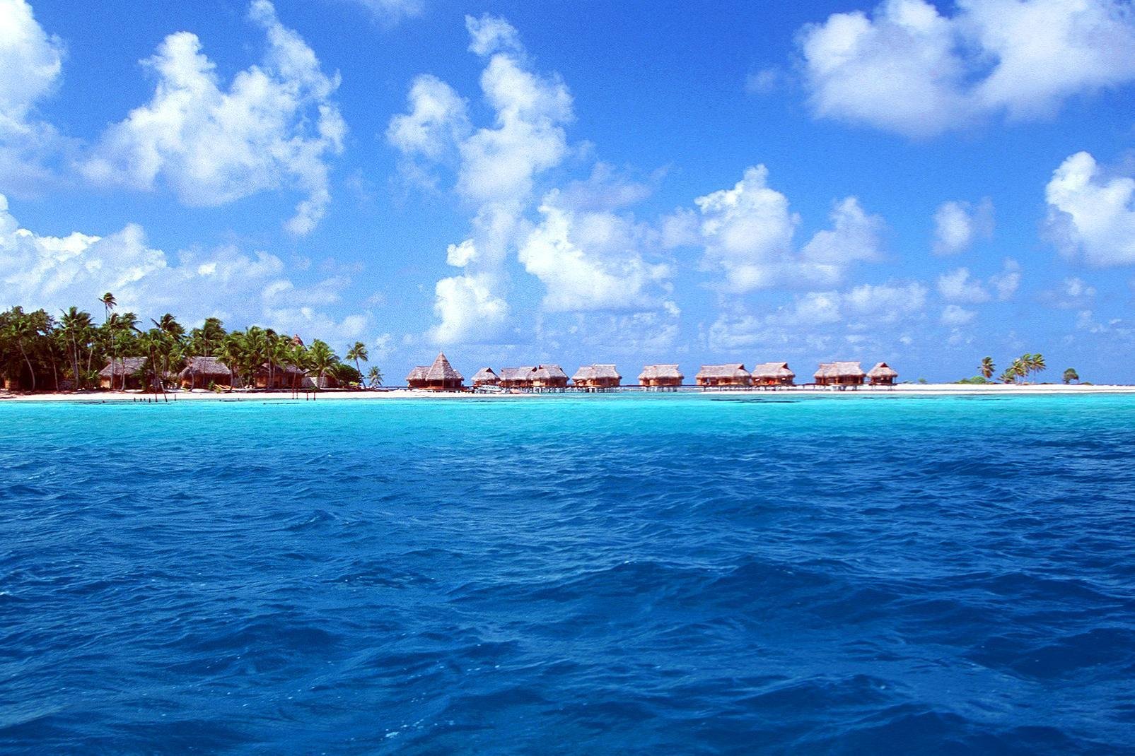 El Tikehau es un atolón, también llamado isla baja, un antiguo volcán desaparecido bajo las aguas. Su anillo de coral, que representa la extensión del antiguo volcán, mide 28 km de diámetro. Los islotes emergentes, formados por la acumulación de coral, están repletos de cocoteros, árboles filaos y almendros malabares. El atolón, magnífico y conservado, es conocido por sus playas de arena rosada, además ...