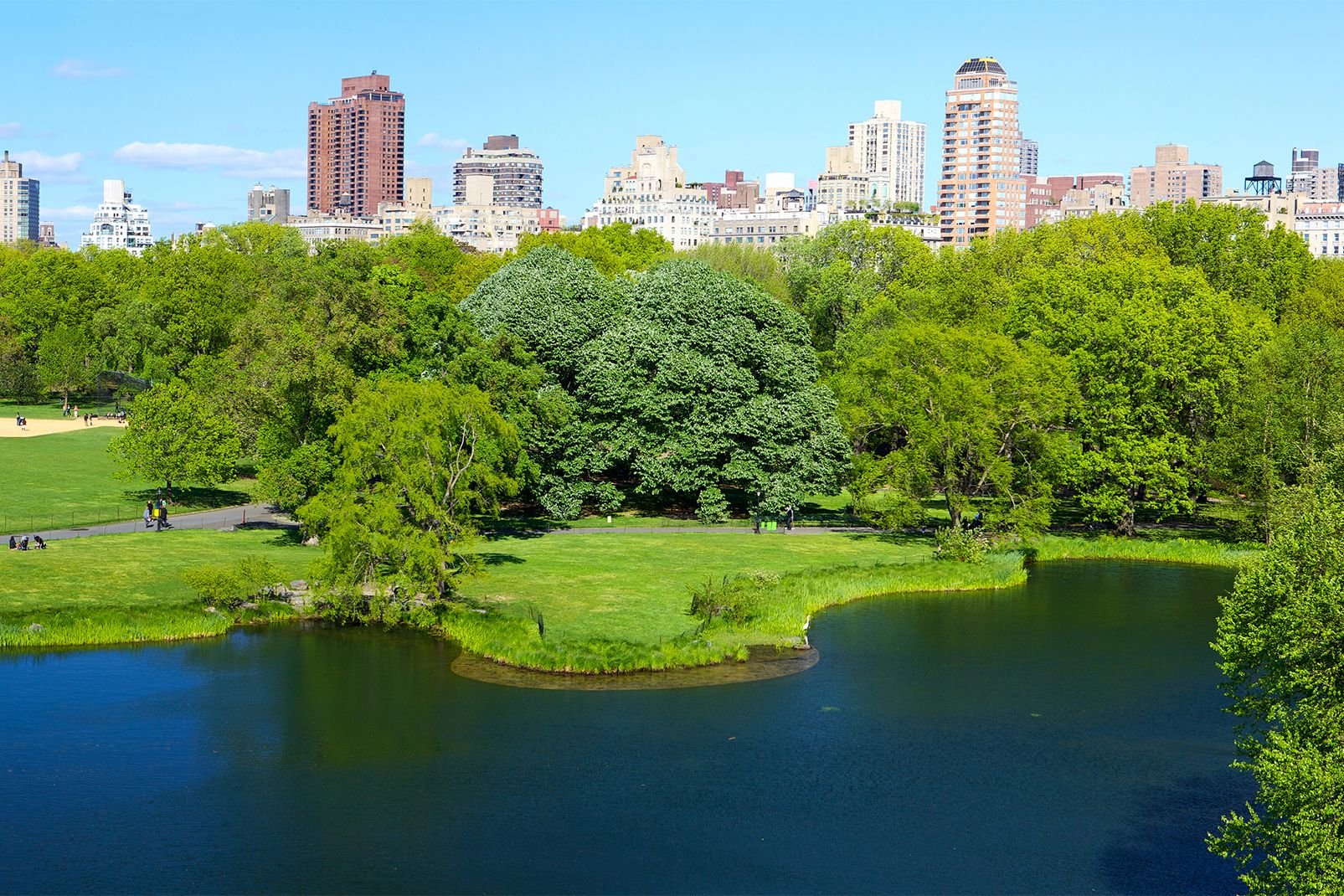 L’Uptown, entre la 59ème rue et la 110ème rue, compte parmi les quartiers les plus riches de New York. Boutiques de luxe, hôtels 5*, immeubles de grand standing, le quartier présente pour les visiteurs un double intérêt : il abrite à la fois le poumon de la ville, Central Park, et surtout les plus beaux musées New Yorkais. A l’est de Central Park, dans l’Upper East Side, le tronçon ...