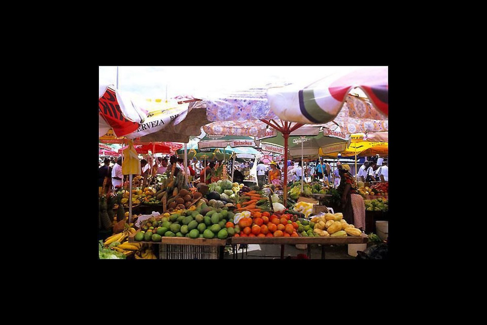 Al mercato della capitale troverete tutti i prodotti locali della regione. Assolutamente da non perdere se amate i frutti tropicali!