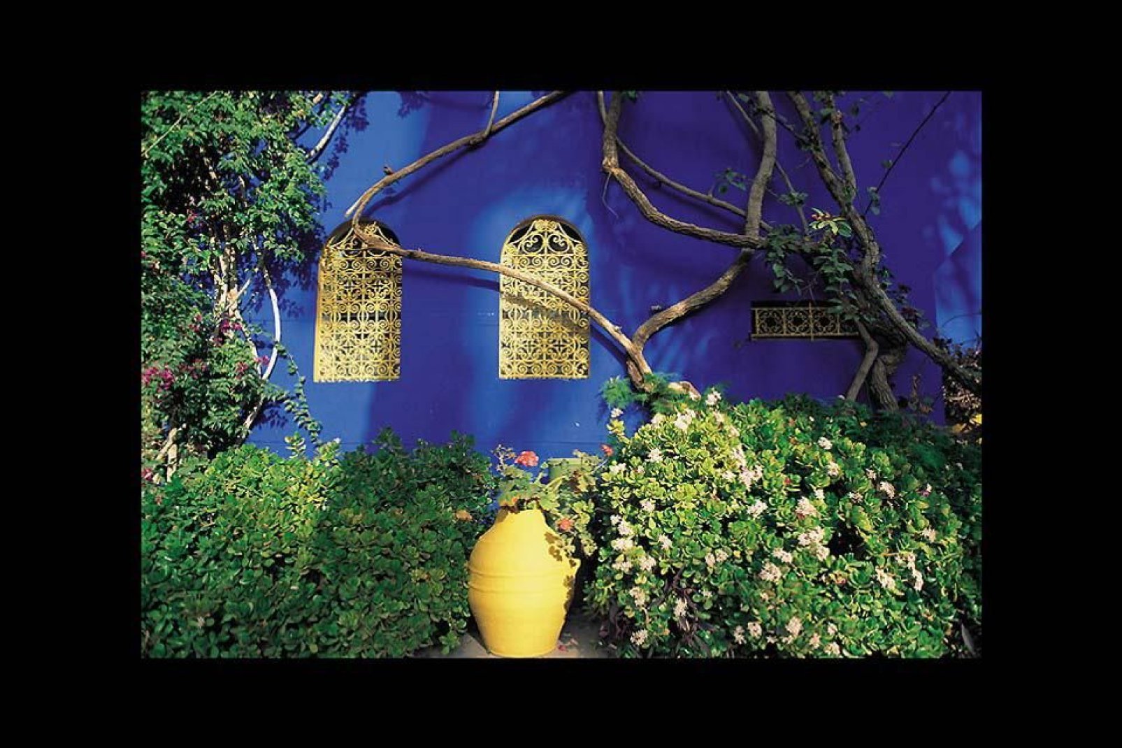 Der botanische Garten "Majorelle" zählt zu den wichtigsten Sehenswürdigkeiten von Marrakech. Hier können Sie seltene Pflanzen in einer höchst zauberhaften Umgebung bewundern.