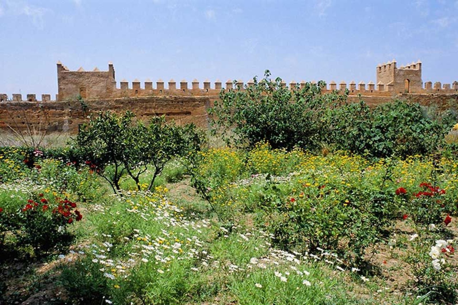 Tras la visita de la kasbah, aprovecha para pasear por los tranquilos jardines de estilo andaluz.