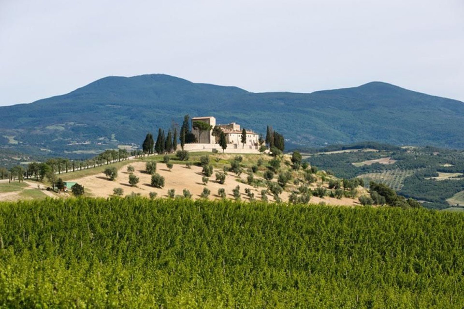 Il territorio di Siena possiede numerose ville rinascimentali e castelli, costruite nel tempo dai nobili del luogo
