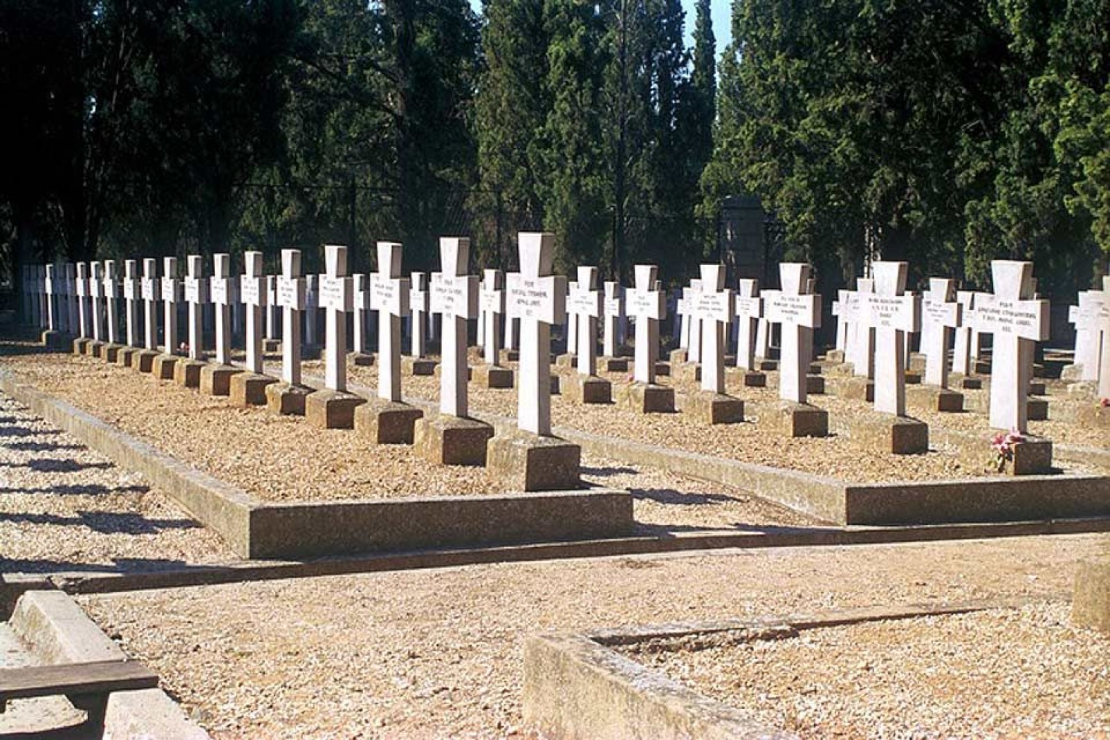This cemetery holds the graves of more than 7,000 soldiers.