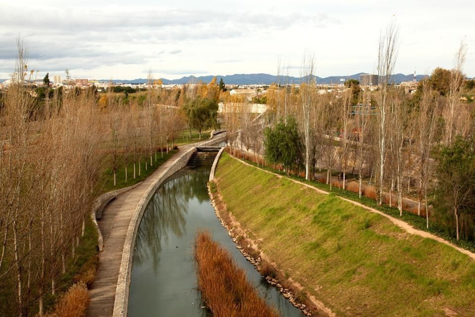 Los jardines del Turia, denominados «el río» por los habitantes, es un lugar muy apreciado por los valencianos para pasear tanto en bici como a pie.