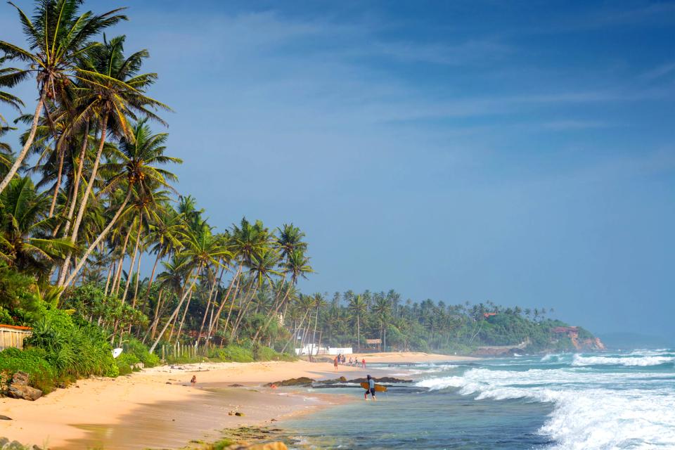 Asie, Sri Lanka, plage, Midigama, baignade, arbre,
