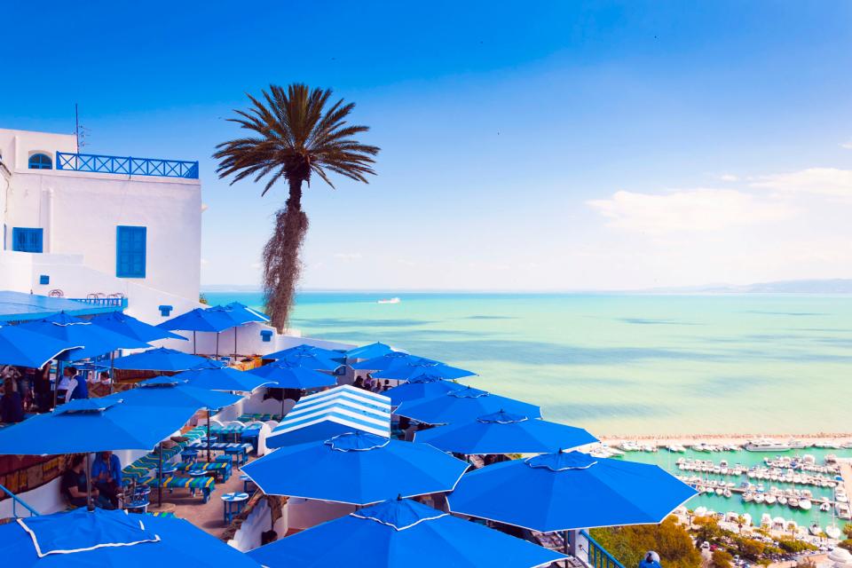 Afrique, Tunisie, Sidi Bou Said, ville, parasol, arbre, bateau, terrasse, 