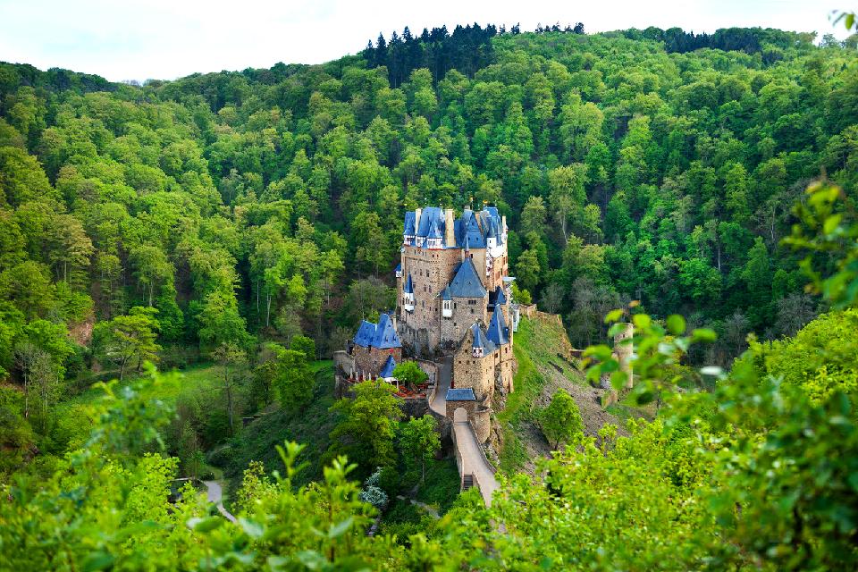 Europe, Allemagne, Château, Eltz, forêt, colline, arbre,