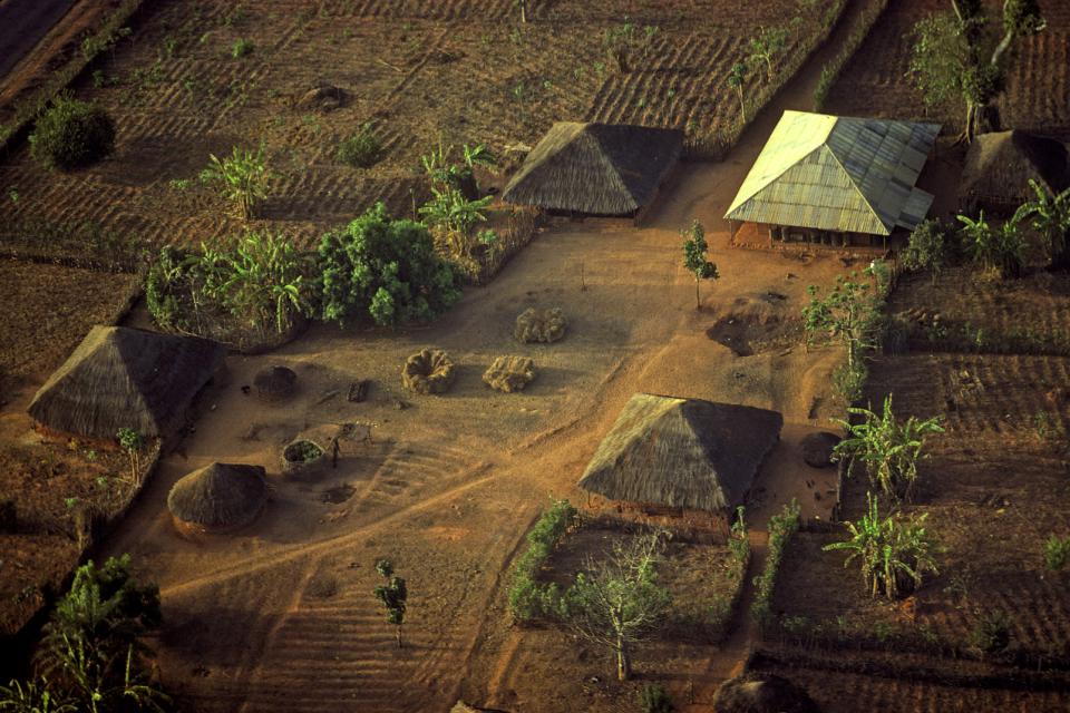 Afrique, Guinée-Bissau, village, maison, hutte, végetation, arbre,