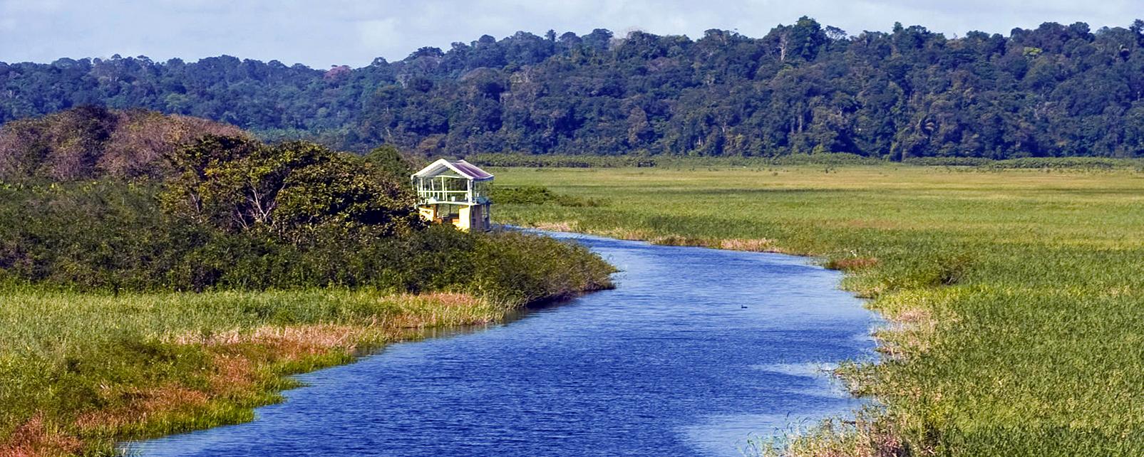 Hacer En Guyana Francesa Mejores Atracciones Tur Sticas   98 